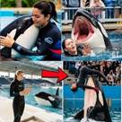 Orca Trainer Jessica Radcliffe is att ...