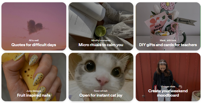 A collage of images of a cat and a person

AI-generated content may be incorrect.